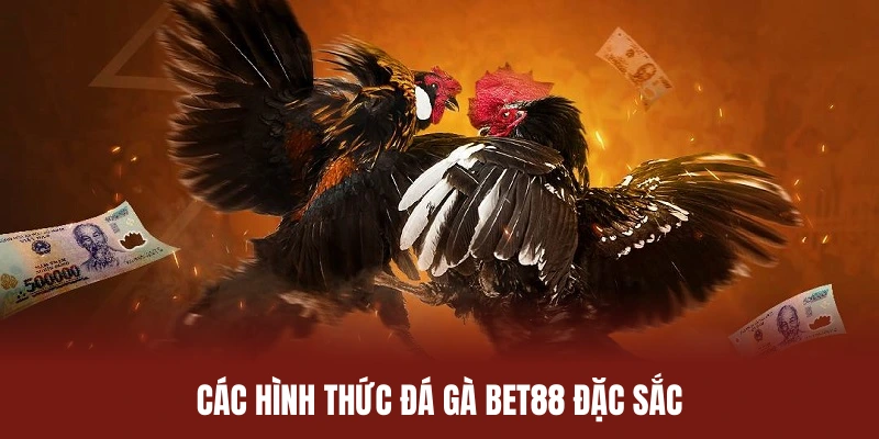 Điểm danh những hình tức đá gà BET88 đặc sắc nhất