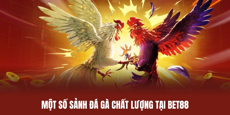 Danh sách sảnh cược đá gà BET88 uy tín và chất lượng