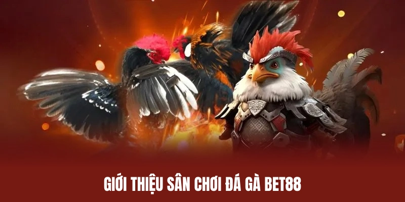 Giới thiệu về không gian đá gà BET88 đỉnh cao