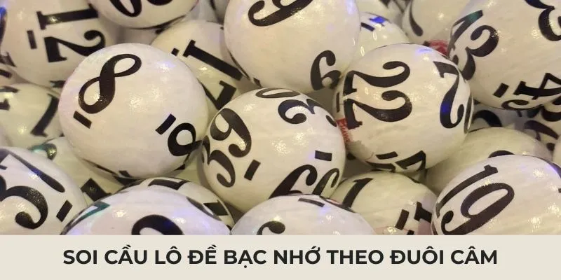 Soi cầu lô đề bạc nhớ theo đít câm