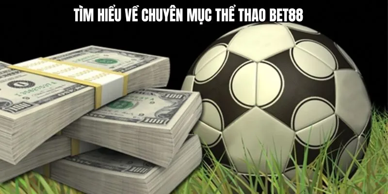Tìm hiểu đôi nét về chuyên mục thể thao BET88